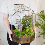 Готовый флорариум Ботанический сад с бонсай XL с водопадом