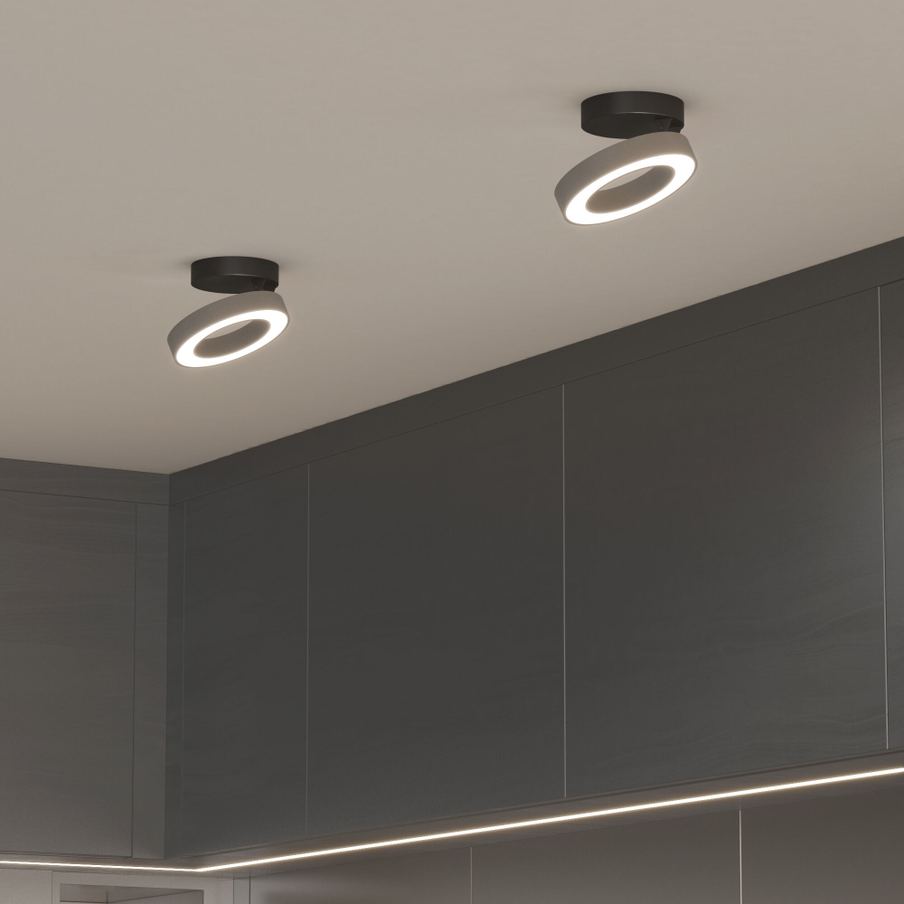 Накладной поворотный светодиодный светильник Spila серебро 12W 4200К 25105/LED