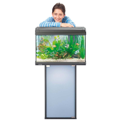 Tetra AquaArt Discover Line 60 л (серый) - прямоугольный аквариум со светом и фильтром