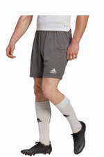 Шорты adidas Entrada 22