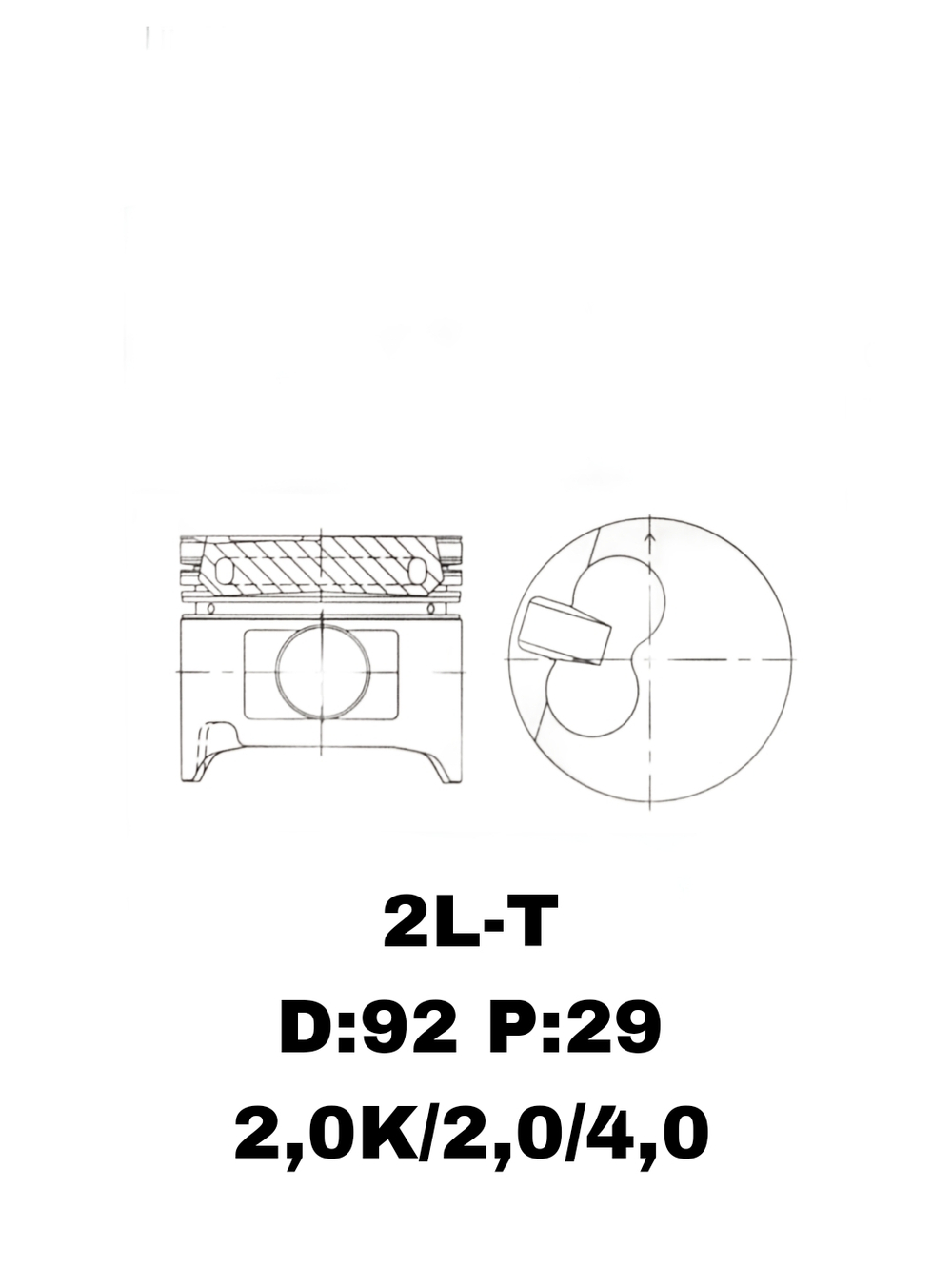 ПОРШНЯ 2L-T