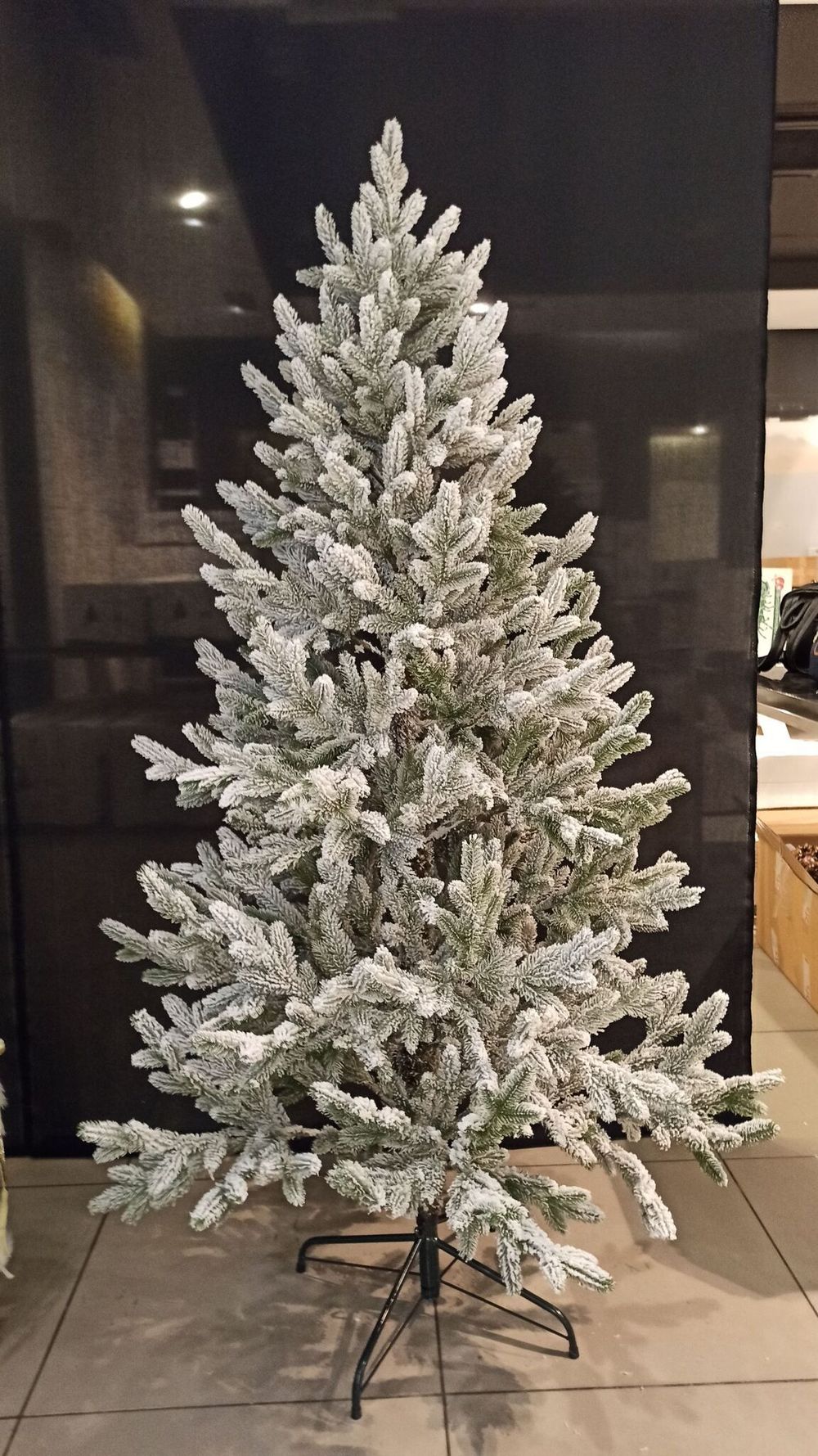 Ель Заснеженная «Нордман» (Литая хвоя) 240 см / 2,4 м