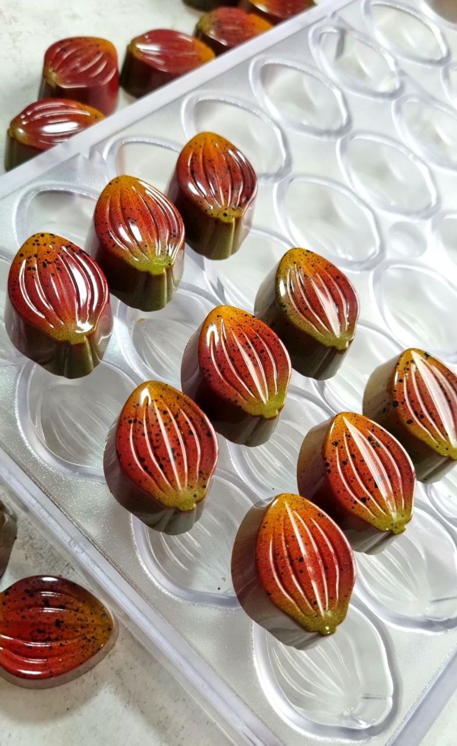 902 | Форма для шоколадных конфет (275х175 мм)