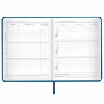 Дневник 1-11 класс 48 л., кожзам SoftTouch (твердая с поролоном), фольга, BRAUBERG, "Vision", 106193