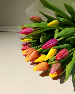 Букет из 35 тюльпанов