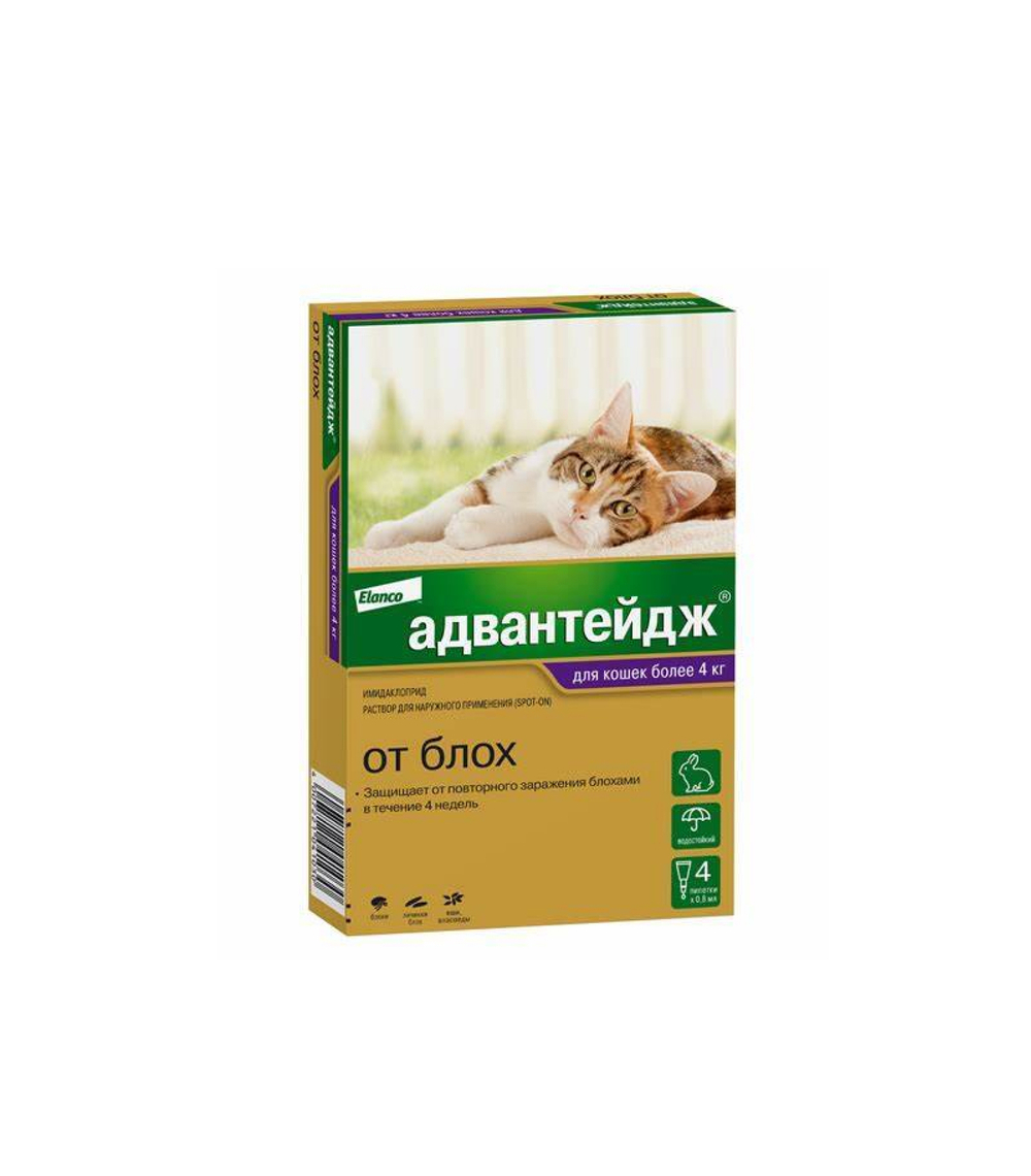 Адвантейдж, для кошек (1 пипетка)