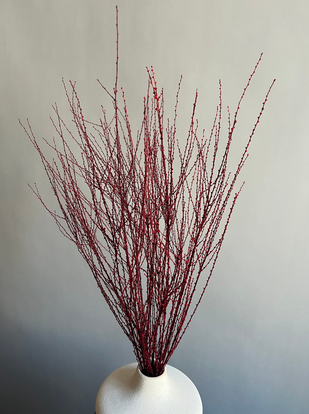 Вереск красный