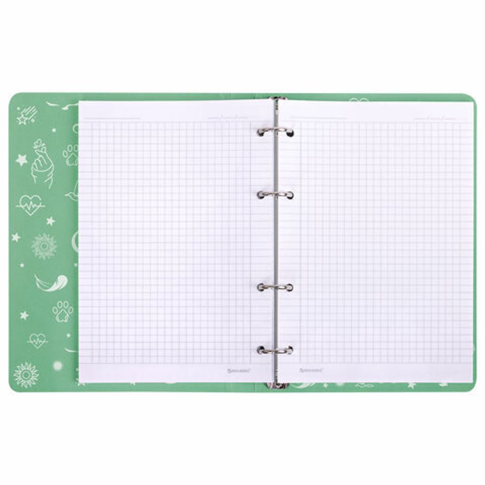 Тетрадь на кольцах А5 160х212 мм, 120 листов, картон, фольга, клетка, BRAUBERG, "Pastel", 404734