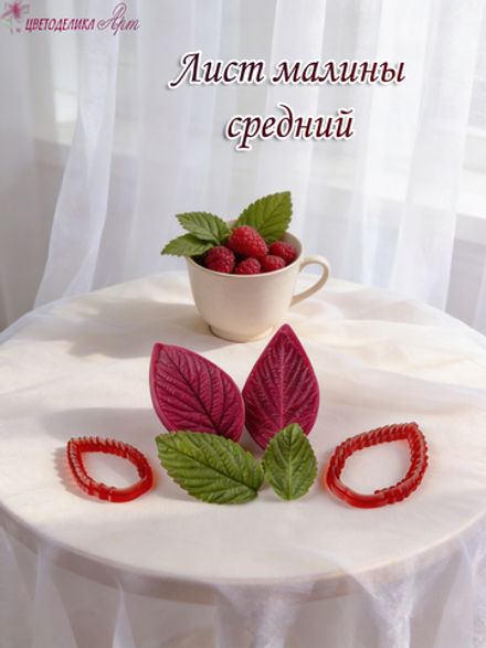 Лист малины средний