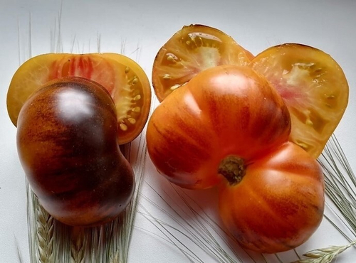 Золотое яблоко