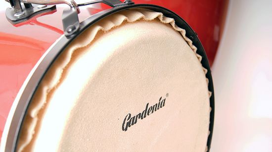 CFC-1 Конги, набор 2 штуки DADI