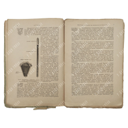 Таубер А. С. Огнестрельные повреждения при современном вооружении армий, 1903.