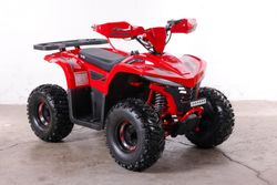 Квадроцикл GreenCamel Гоби K90 (48V 750W R7 Дифф) LUX Bluetooth