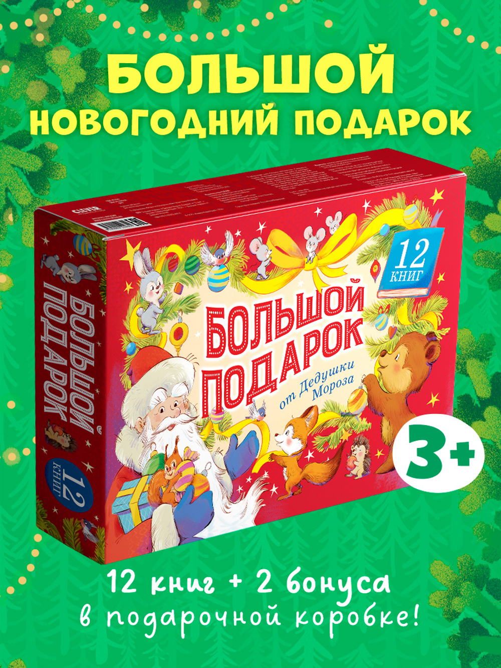 Большой подарок от Дедушки Мороза. Комплект из 12 книг