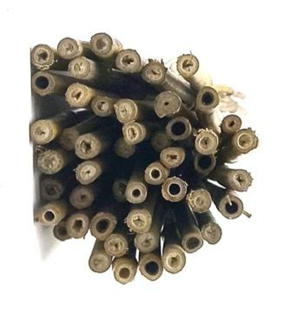 Поддержка бамбуковая 45см, д.6-8мм, к-т50  1/20