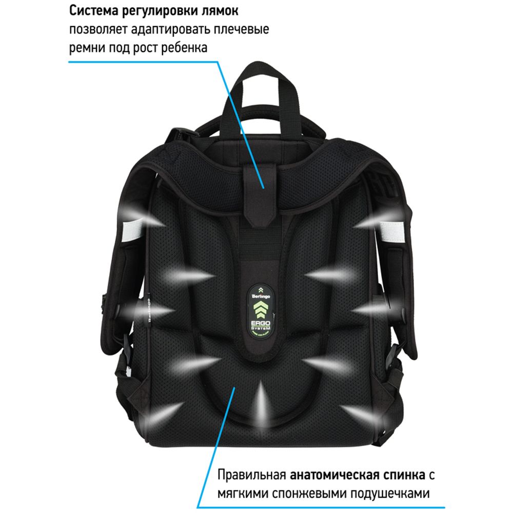 Ранец Berlingo Expert Skyline 37х28х16см, 2 отд., с анатомической спинкой