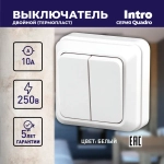 Выключатель Intro Quadro 2-104-01 двухклавишный 10А-250В IP20 ОУ белый