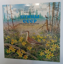 Винтажная виниловая пластинка LP Птицы СССР Голоса Птиц  Кулики: Улиты, Бeкacы, Kpoншнeпы (Export Made in USSR) (СССР 1982)