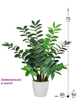 Искусственное растение Замиокулькас 75см в кашпо