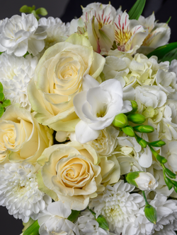 Чистые эмоции *