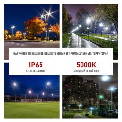 Светильник уличный светодиодный ЭРА SPP-503-0-50K-100 100Вт 5000К IP65 КСС Ш | Уличные консольные светильники