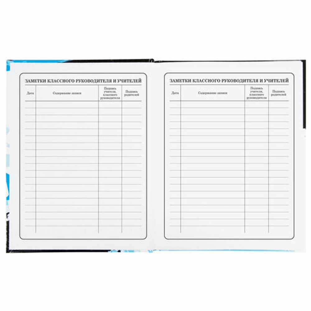 Дневник 1-4 класс 48 л., твердый, BRAUBERG, глянцевая ламинация, с подсказом, "Дрифт", 106355