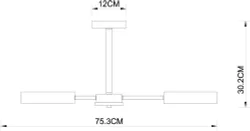 Люстра на штанге Arte Lamp