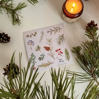 стикерпак «еловые веточки» 🎄