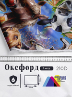 Оксфорд с принтом 1 метр №1 210 D