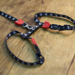 Шлейка+поводок SKULL 2.0 Zee.Cat