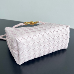 Bottega Veneta Small Andiamo 25 cm
