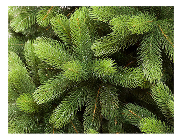 Кейс продать елки на Wildberries и получить миллионы: кейс