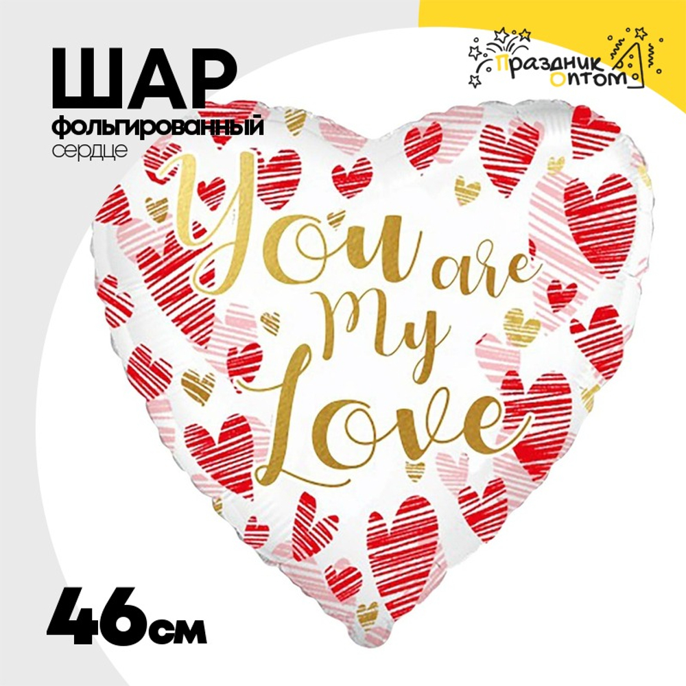 Шар Фольгированный YOU ARE MY LOVE Сердца (Ассорти)