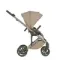 Коляска ANEX Eli 2 в 1 Gato