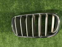 Решетка радиатора левая BMW X5 F15 X6 F16 (13-18)