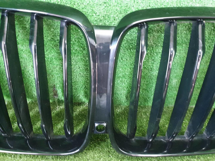 Решетка радиатора BMW X5 G05 (2018-2023)