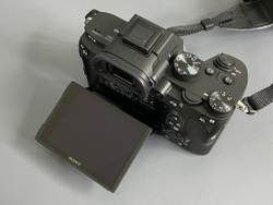 Sony A7 III 4500 кадров