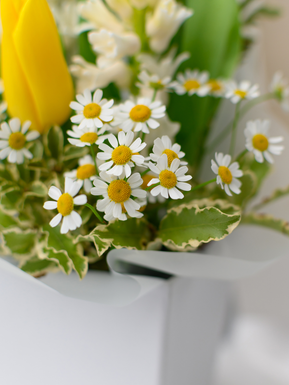 Весенний лучик