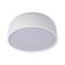 Потолочный светодиодный светильник Loft IT Axel 10201/350 White