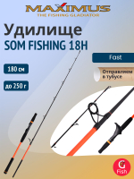 Кастинговый спиннинг для рыбалки Maximus SOM FISHING 19H 1,9m 280g