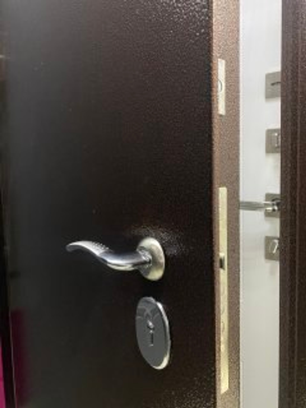 Дверь входная Леда