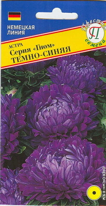 Астра "Гном Темно-синяя" кит Престиж