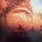 Aphex Twin – Selected Ambient Works Volume II 4LP