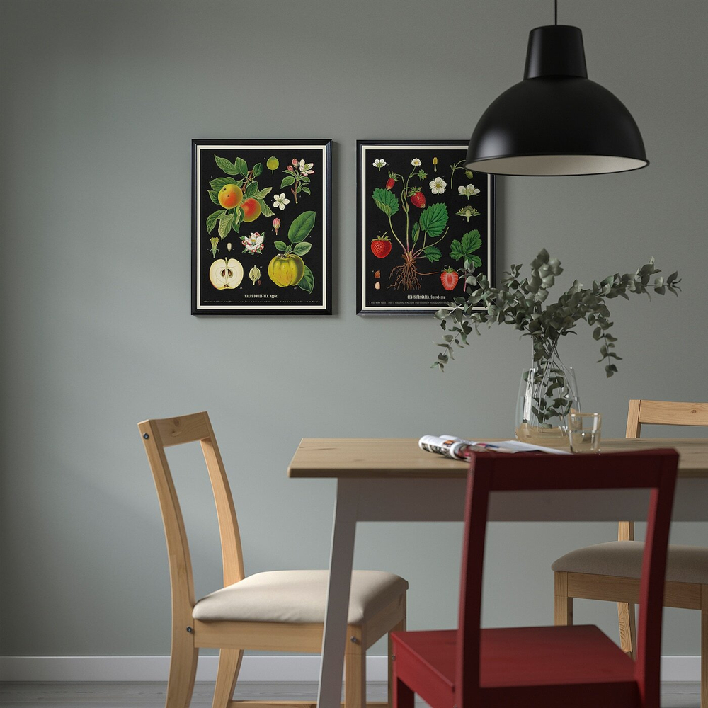IKEA KNOPPÄNG  (ИКЕА КНОППÄНГ)  -  Рамка для плаката, винтажные ботанические карты с фруктами, 40x50 см