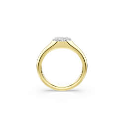 DEXTERA:RING MIDI CRE/GOS 50