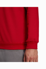 Кофта adidas Entrada 22 Sweat Top
