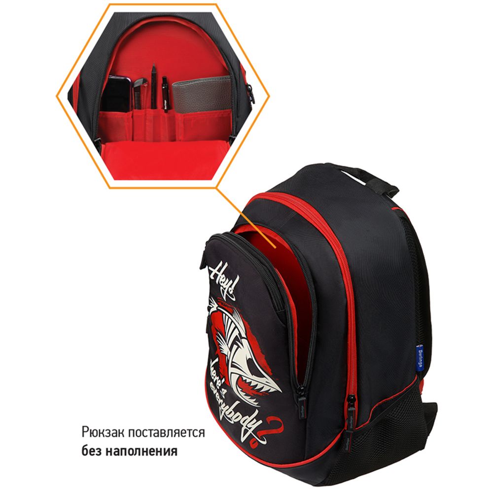 Рюкзак Berlingo b-Active "Angry fish" 41*30*17 см, 2 отделения, 4 кармана, эргономичная спинка