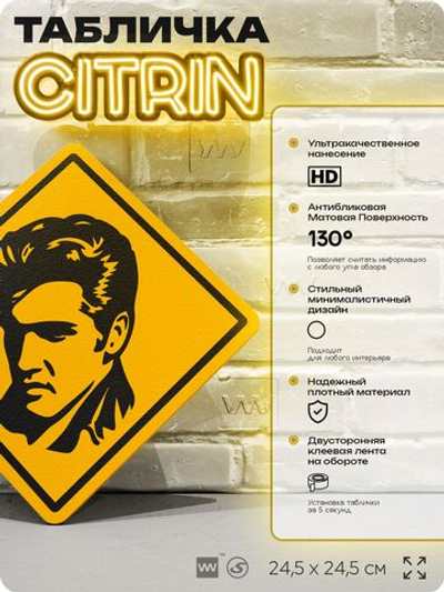 Табличка декоративная "Элвис Пресли, Elvis Presley" на дверь и стену, прикольная штука в подарок, декоративный знак, 24,5х24,5 см, пластиковая, Айдентика Технолоджи