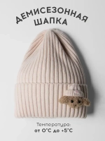 Шапка детская на осень