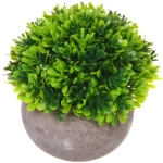 Цветочная композиция «Green garden» 10*12см в горшке, листики